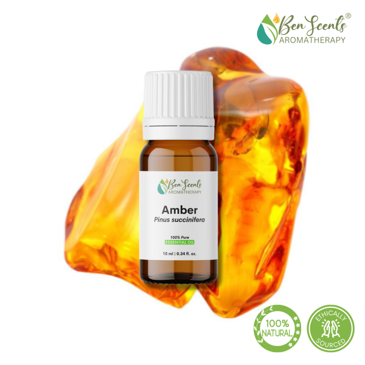 succinifera essential pinus succinifera