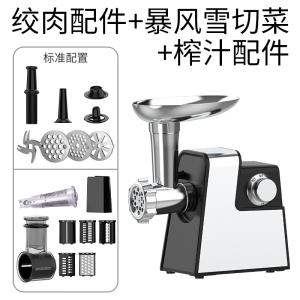 5-in-1 Multifunctional Electric Stainless Steel Mini Meat Grinder (Grinding Vegetable Slicing Juicing Sausage Stuffing)