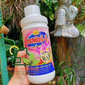 Grofer b1 thailand dưỡng rễ hỗ trợ phát triển bộ rễ cho cây trồng 500ML/1 LÍT