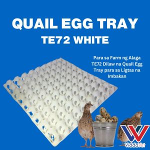 White Quail Egg Tray with 24 Slots for Animals  Ideal for Safe Clean and Convenient Egg Storage for Animal