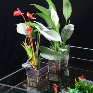 FCVGS Hanging Aquarium Planting Basket Transparent Plastic Water Grass Cup Multifunctional Household Hydroponic Support Cup For Fish Tank