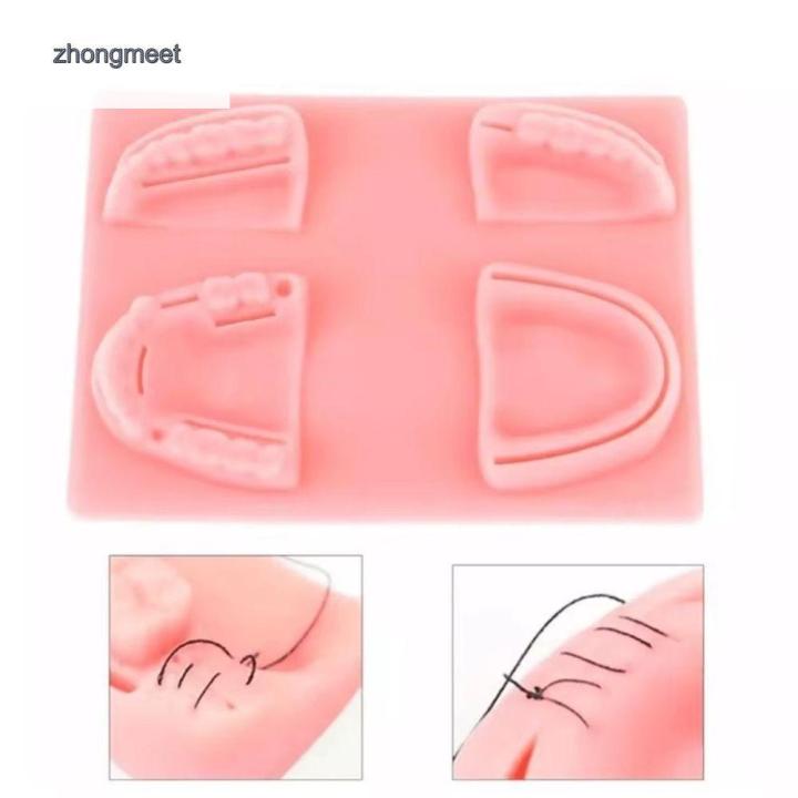 ZHONGMEET Silicon Mô hình khâu răng miệng/nướu Thực hành khâu vết thương 4 loại vết thương Đệm khâu da miệng Có thể tái sử dụng Mềm mại Mô hình giảng dạy nha khoa Dành cho giảng dạy nha sĩ
