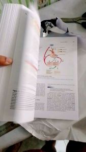 Seeleys Anatomy & Physiology 10th Edition