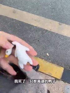 Funny Color Changing Swing Goose Roasted White Roast Duck Car Pendant Swing Duck Car Hanging Ornament For Car Interior well