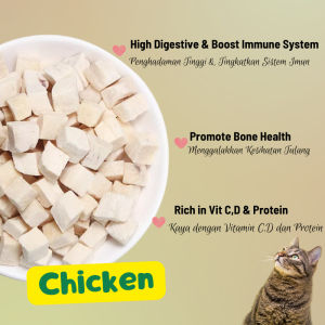 【Yummy】Freeze Dried Treats Sample Pack – Cat / Dog / Hamster / Small Pets | Natural Snacks | Ready Stock