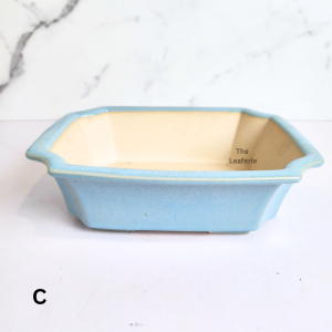 The Leaferie Bonsai Tally (Series 11) Rectangular plant pots flowerpot rectangle flower pot planter planters