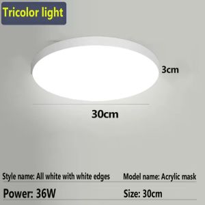 48W 35cm Eye Protection Modern Ultra thin Panel Light Indoor Kitchen Stairwell  Dimmable Lamp