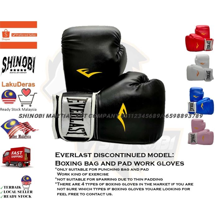 Everlast Beginner Boxing Gloves for Punching Bag Training and Pad Work
