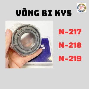 Vòng bi đũa trụ KYS N217 N218 N219