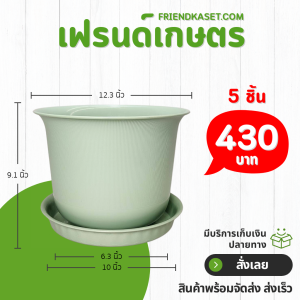 กระถาง กระถางต้นไม้ มินิมอล ถ้วยจีน+จาน ขนาด 12 นิ้ว สีเขียวพาสเทล 5 ใบ ชิ้น อัน