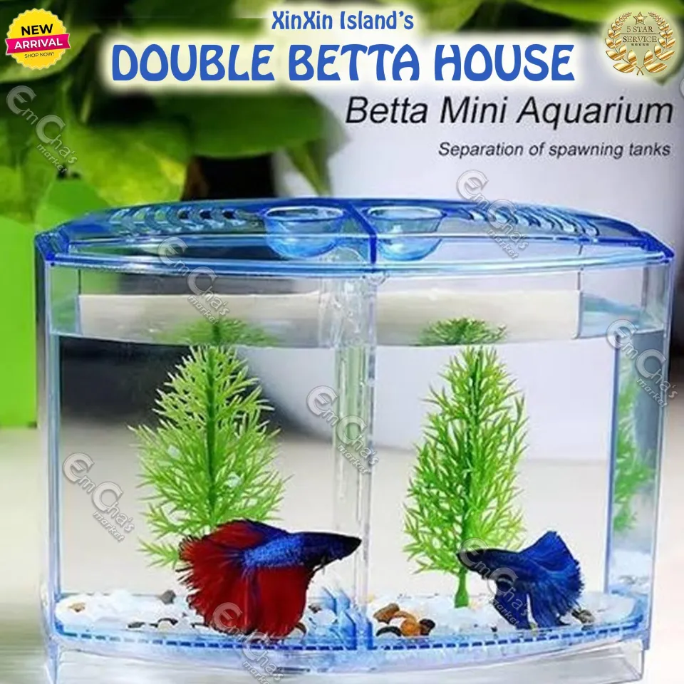XinXin OR Cosmic Betta House DOUBLE or SiNGLE (acc) Betta Aquarium Small  Fish Aquarium (bwl) Isolation Tank Betta Tank
