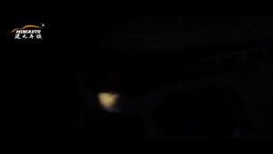 LEO 1:32 Scale HONDA CIVIC TYPE-R DIECAST model alloy car sound and light pull back caR TOYS COLLECTION Toys for boys Gift Collection Honghonghongs store