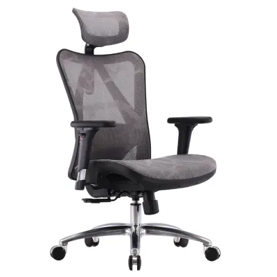 SIHOO M57 Ergonomic Office Chair Mesh Chair Adjustable Lumbar Support Home Office 4D Armrests 3 Years Warranty