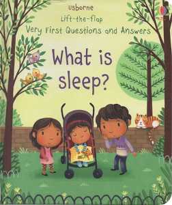 Usborne Lift the Flap Very First Question & Answer Hardcover Boardbook Kids Early Learning 英文原版生活习惯 你问我答翻翻书 早教启蒙益智 JW Happy Store