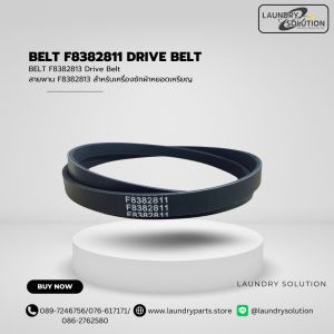 BELT F8382811 (สินค้าพร้อมส่งจากประเทศไทย)