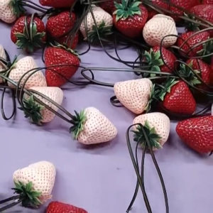 Strawberry Bag Charm Pendant Aesthetic Purse Charms Aesthetic keychains Keyring for Women Backpack Purse Handbag Decors