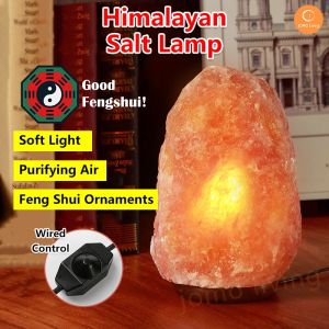 SG Pure Himalayan Rock Salt Lamp Natural Shaped Air Purifier Ionizer Feng Shui