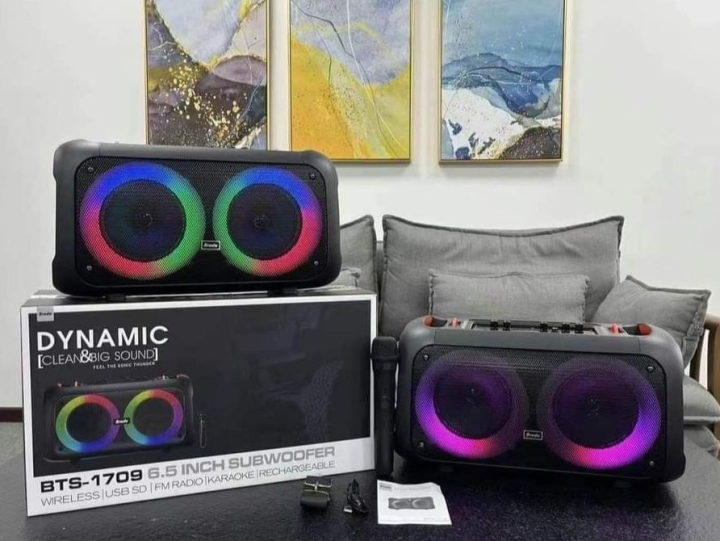 BRUDO!! BLUETOOTH SPEAKER - BTS - 1709 6.5 INCH DYNAMIC CLEAN AND BIG SOUNDS WITH WIRELESS MICROPHONE PERFECT FOR INDOOR & OUTDOOR PARTY SPEAKER