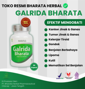 Obat Benjolan - Obat Benjolan Tumor - Obat Benjolan di Payudara - Benjolan dileher - AMPUH - GALRIDA BHARATA 100% ORI