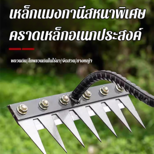 คราดกำจัดวัชพืชสำหรับการเกษตรสามารถถอดได้ คราดเหล็ก 5 ฟัน/6 ฟัน/7 ฟัน/8 ฟัน คราดถอนวัชพืช คราดเก็บหญ้า อุปกรณ์ทำสวน ทนทาน