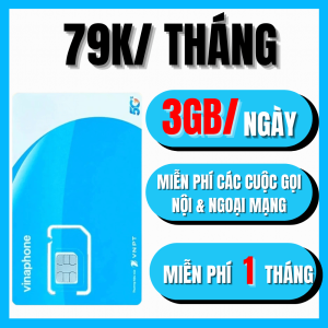 ( TẶNG SẴN 1 THÁNG ĐẦU ) SIM 5G VINAPHONE GIÁ RẺ - DATA 4GB/NGÀY + MIỄN PHÍ GỌI NỘI  NGOẠI MẠNG - PHÍ CỰC RẺ CHỈ 79K/THÁNG - SÓNG VINA DÙNG TOÀN QUỐC |  VD89P D79P D89Y FCLUB . FREESHIP - CHƯA KÍCH HOẠT