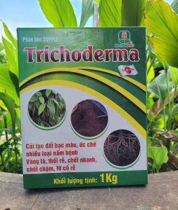 [Freeship Max] TRICHODERMA MEKONG 3 chủng vi sinh dùng ủ phân bón bón gốc gói 1kg_VTNN TRUNG THIEN THINH