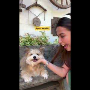 Vet Core+ Ultravet TLC 120ml Pet Vitamins for Dogs and Cats
