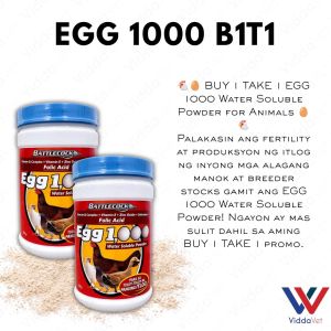 Egg 1000 Water Soluble Animal Supplement 1kg B1T1 for Enhanced Reproductive Efficiency