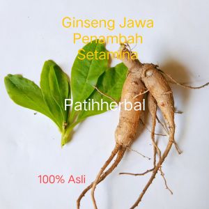 Ginseng Jawa Obat Herbal Alami penambah stamina 100% Asli per 100 gram