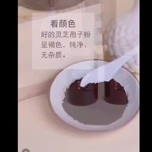 [ Hàng Sẵn ] Bột bào tử nấm linh chi hữu cơ núi Trường Bạch loại bột giai đoạn đầu tỷ lệ phá vỏ cao cung cấp trực tiếp từ nguồn đóng gói hộp quà tặng. Changbai Mountain Ganoderma Spore Powder Toudao Super Grade Ganoderma Spore Powder Spore Powder