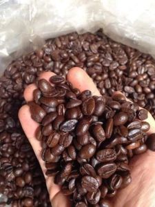 Cà Phê Hạt Rang Mộc DakLak 500g