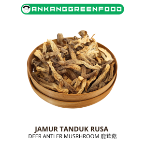 250-500gr JAMUR EKOR TANDUK RUSA KERING LU RONG GU DEER ANTLER MUSHROOM