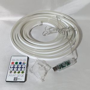 Lampu Hias Neonflex Running USB RGB LED Strip Neon Flex Lampu Selang Fleksibel 5 Meter APP Control + Remote Control