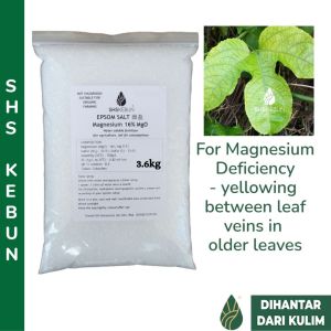 Epsom Salt (Magnesium Sulphate / Magnesium sulfate Mg2SO4) 1.4kg/2kg/3.6kg Agricultural Grade for Gardening 泻盐 SHS KEBUN