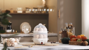 Auto Shutoff Electric Eggs Boiler 14 Eggs Capacity Steamer Omelet and Dumpling Cooker Portable Breakfast Maker