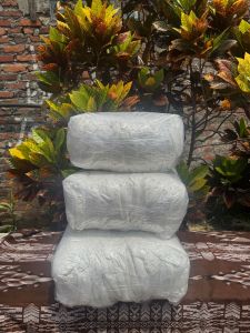 Popok Dewasa Repack Type Celana Untuk Orang Tua Isi 50 Pcs