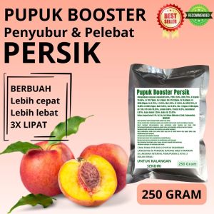 Pupuk Booster Persik / Obat Booster Buah Persik / Pupuk Booster Buah Persik / Pupuk Buah Persik