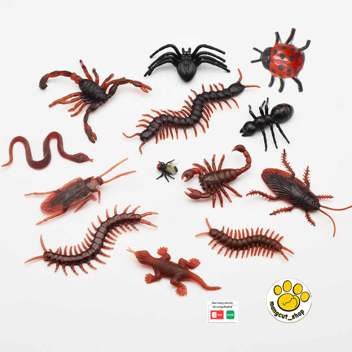 Côn Trùng Giả Gián - Rết - Bò Cạp Bằng Nhựa Như Thật Dùng Làm Đồ Chơi ...