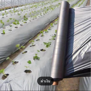ความกว้างพลาสติกยาว 360 เมตร 0.8 เมตร พลาสติกพลาสติกสีดำ/พลาสติกเงินวัชพืชวัชพืชผักที่กำลังเติบโตการเจริญเติบโตของผลไม้ฟาร์มผสมรังสี UV ผสม (ไม่มีการเจาะรู)