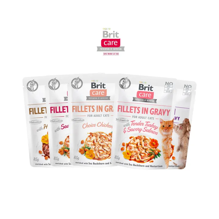 Brit Care อาหารเปียก Grain Free พรีเมียม