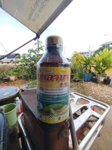 อีมาเม็กติน  อีมาเมกตินเบนโซเอต อีมาน้ำ 1ลิตร  หนอนชอนใบ หนอนในส้ม ส้มเขียวหวาน ผลไม้ เพลี้ยไฟ