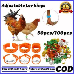 50/100Pcs Chicken Foot Ring Adjustable Size Multicolor Poultry Leg Band Tag Tool For Duck Chicken
