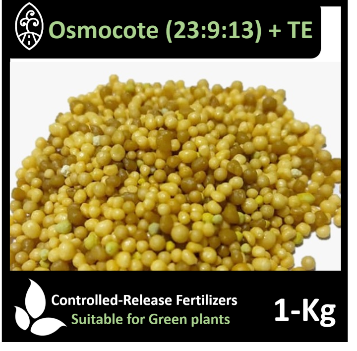 Osmocote 1KG 23913 + Trace Slow Release Green Plants Fertilizer