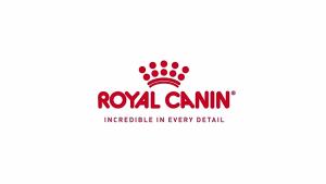 Royal Canin URINARY S/O Canine Wet Dog Food 410g: Vet Recommended Urinary Support