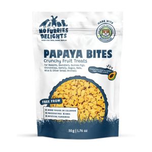 Papaya Bites | No Furries Delights | Small Animal & Bird Treats