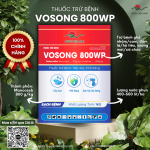 Thuốc trừ bệnh MANCOZEB MAN XANH (gói 1KG) - Vosong 800WP Phòng ngừa đốm vàng lá thán thư sương mai mốc sương