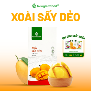 Xoài Sấy Dẻo NONGLAMFOOD Hương Vị Tự Nhiên Dẻo Mềm Trái Cây Sấy Hoa Quả Sấy Đồ Ăn Vặt Hộp 100g