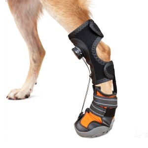 DJDK Anti Dirt Corrective Dog Shoes Anti Drop Wear-Resistant No Knuckling Pet Boot Comfortable Hard Sole Paw Protectors Outdoor