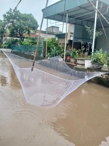 Lưới đánh cá vó bắt cá cạnh 2m2x2m2 màu trắng