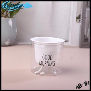 【dipao】 Lazy Hydroponic Flower Pot Automatic Water-Absorbing Flowerpot Transparent Double Layer Plastic Self Watering Planter Office